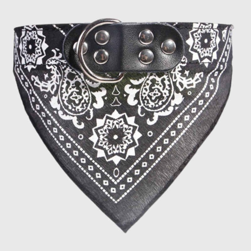 Collier pour chien bandana noir