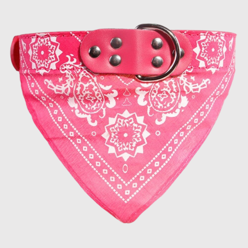 Collier pour chien bandana rose fonce