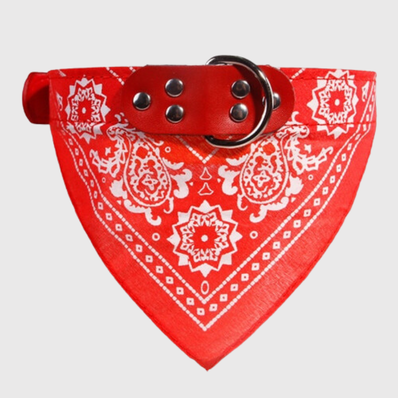 Collier pour chien bandana rouge