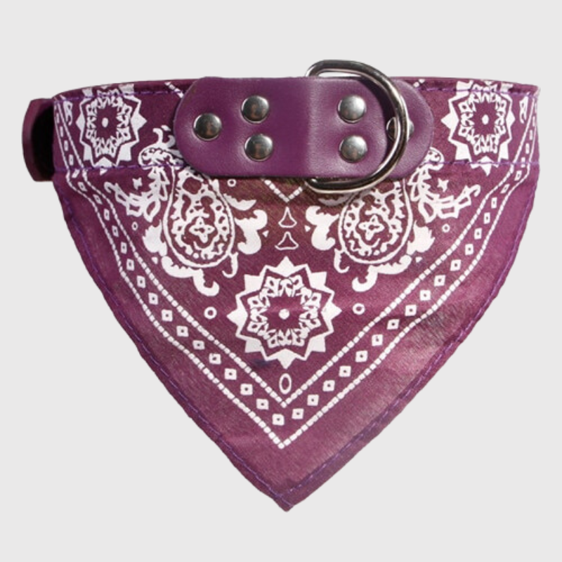 Collier pour chien bandana violet