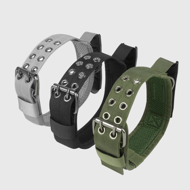 Collier pour grand chien