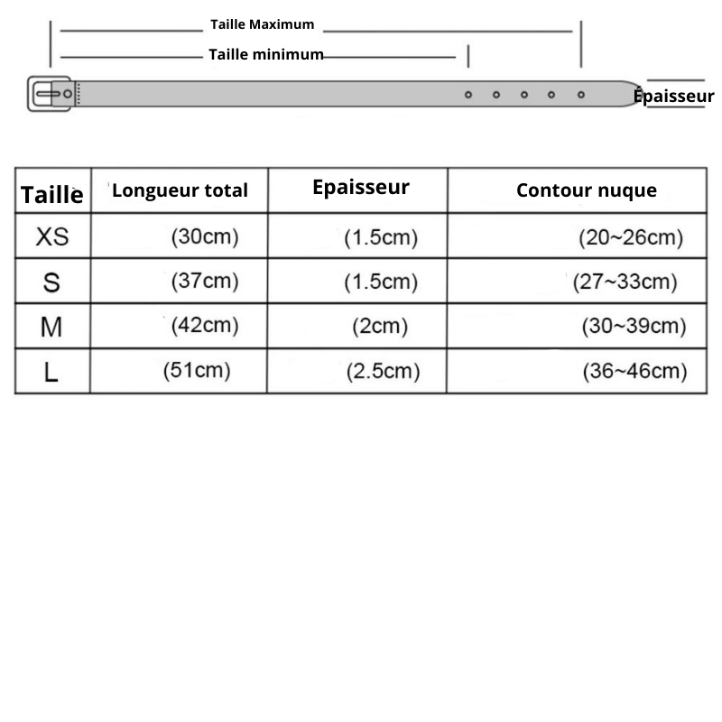 Collier réfléchissant personnalisable pour chien taille