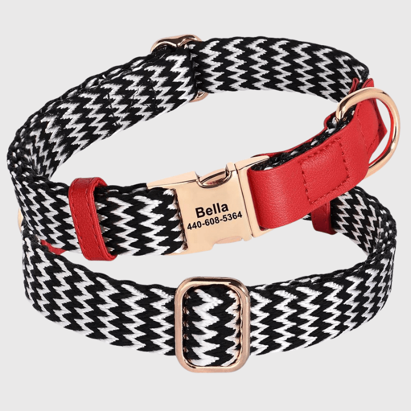 Collier vaguelette personnalisable pour chien modele