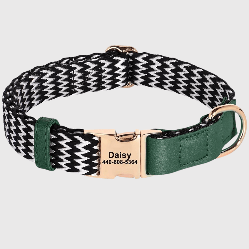 Collier vaguelette personnalisable pour chien vert