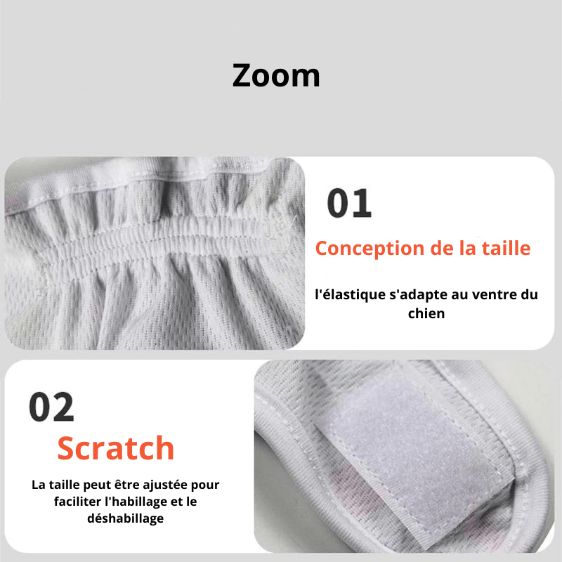 Couche culotte pour chien zoom