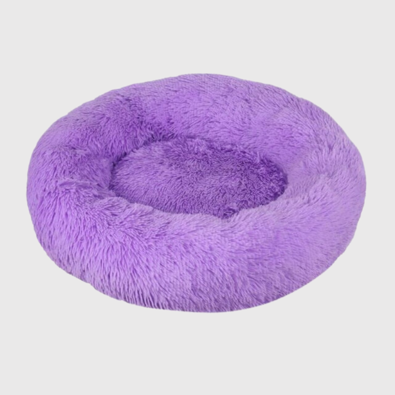 Coussin orthopedique pour chien violet