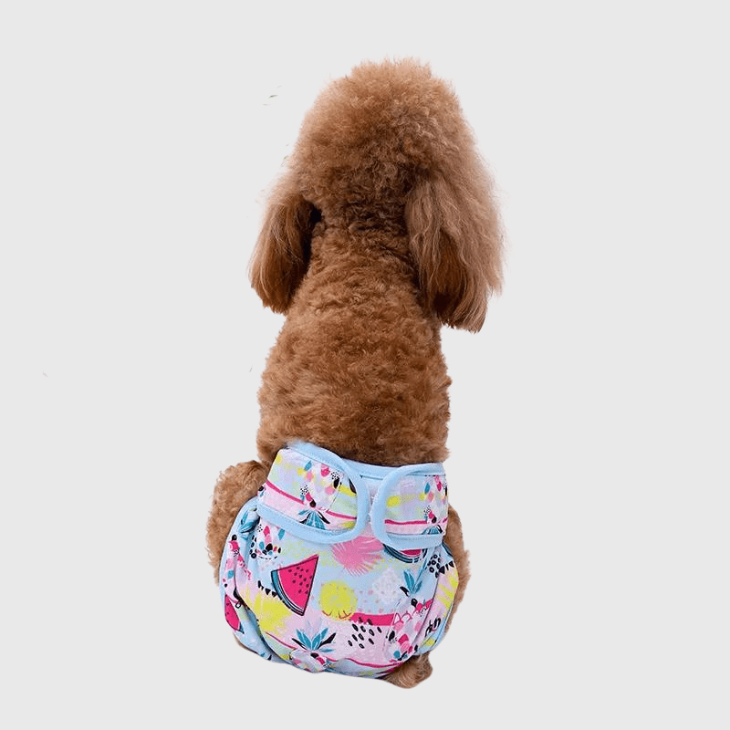 Culotte fruitée pour chienne en chaleur modele chien