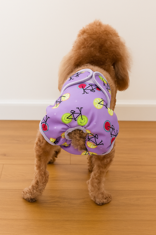 Culotte pour chienne chaleur caniche de dos