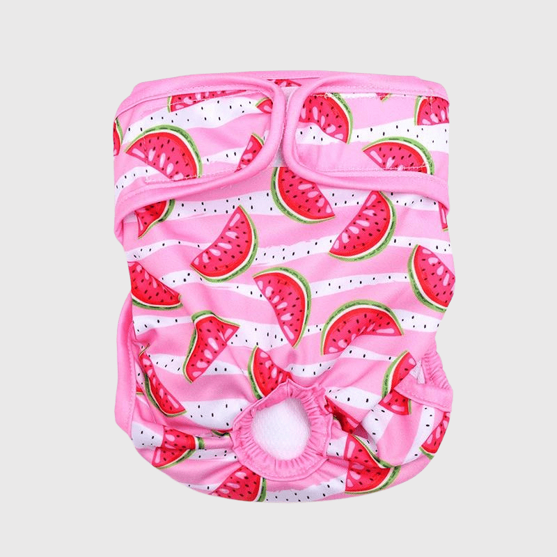 Culotte pour chienne chaleur pasteque