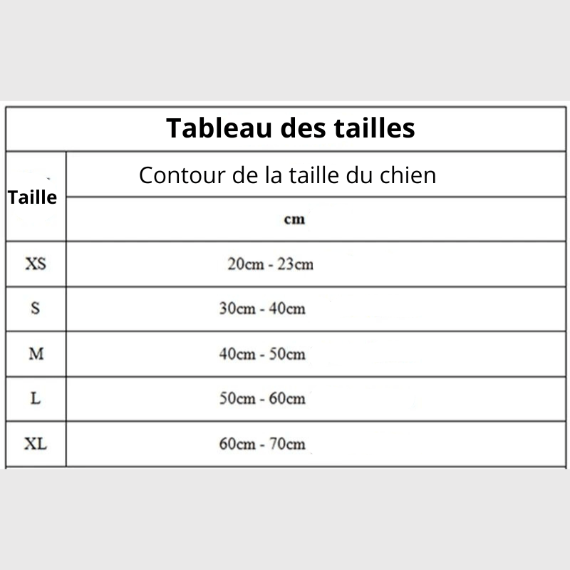 Culotte pour chienne chaleur taille