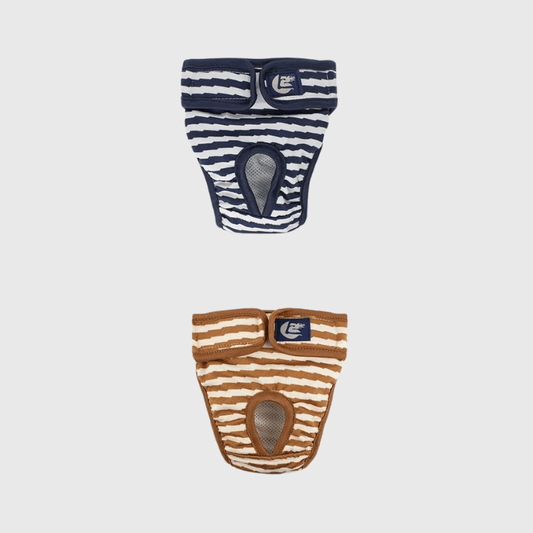 Culotte rayée pour chien - Lot de 2 culottes bleu marron