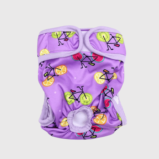 Culotte violette pour chienne en chaleur