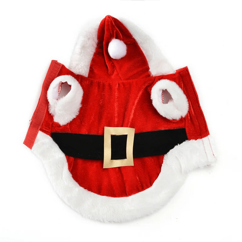 Deguisement noel chien verso