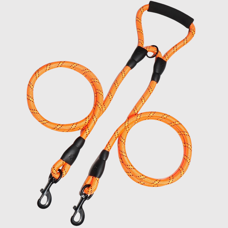 Double laisse pour deux chiens orange