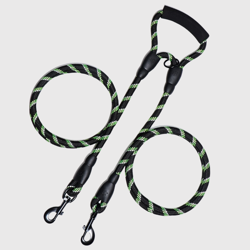 Double laisse pour deux chiens noir vert