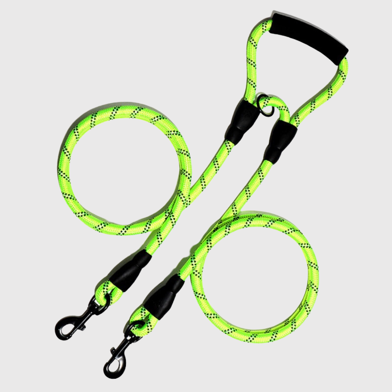 Double laisse pour deux chiens vert