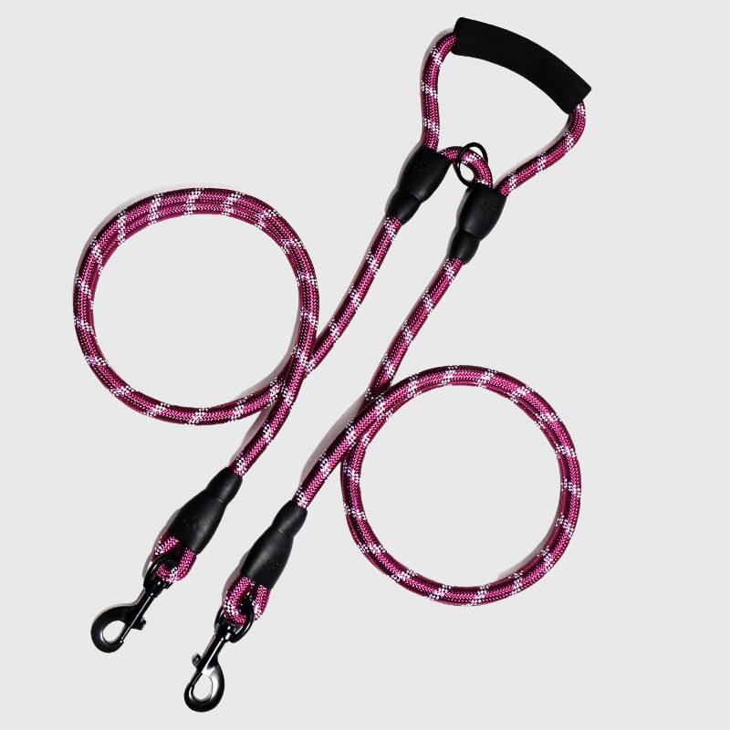 Double laisse pour deux chiens violet