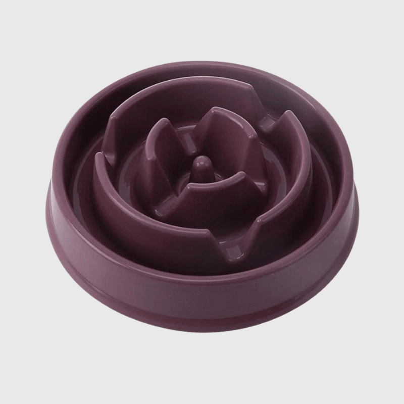 Gamelle anti glouton pour petit chien violet
