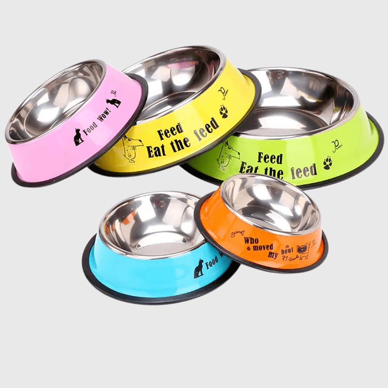 Gamelle chien inox Bleu modele
