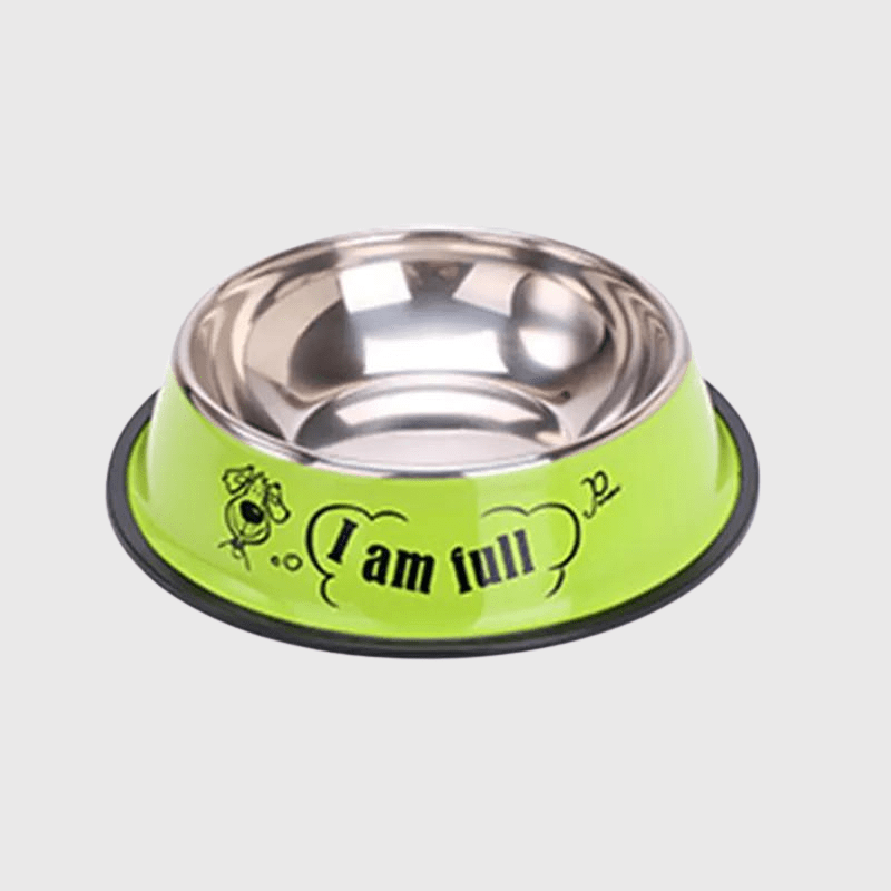 Gamelle chien inox Vert