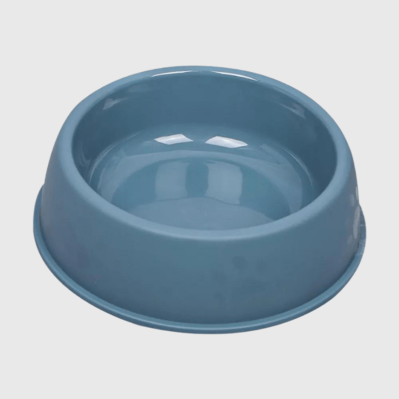 Gamelle chien plastique Bleu