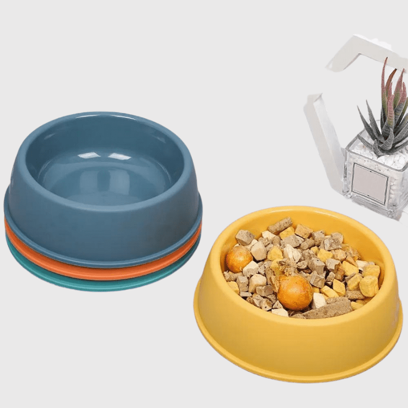 Gamelle chien plastique Bleu croquette