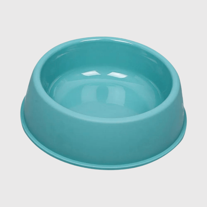 Gamelle chien plastique vert