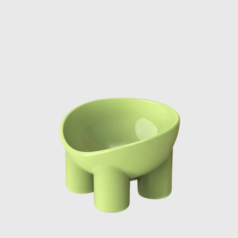 Gamelle chien surélevée vert pale modele