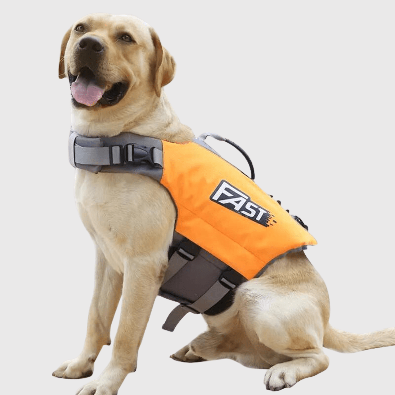 Gilet de sauvetage pour chien Fast orange