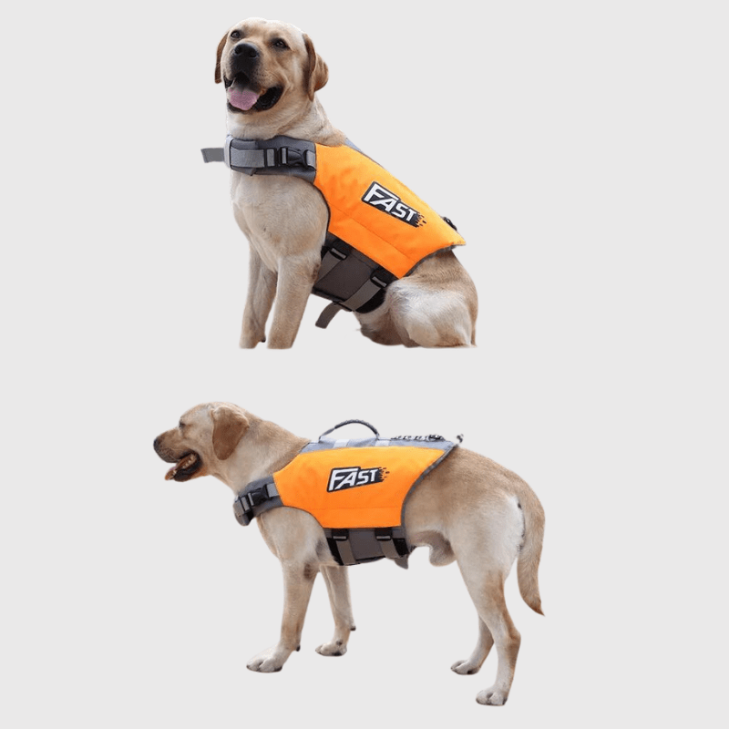 Gilet de sauvetage pour chien Fast orange labrador