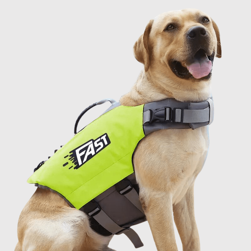 Gilet de sauvetage pour chien Fast Vert
