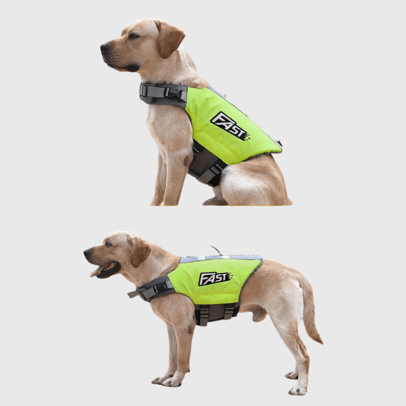 Gilet de sauvetage pour chien Fast Vert labrador