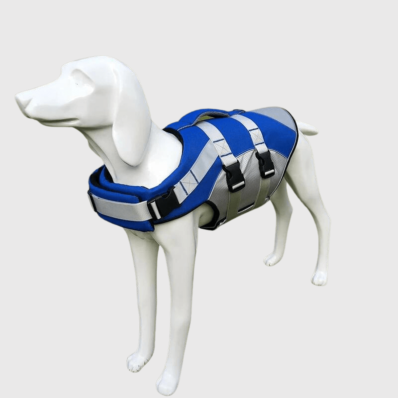 Gilet de sauvetage pour chien de couleur bleu chiot
