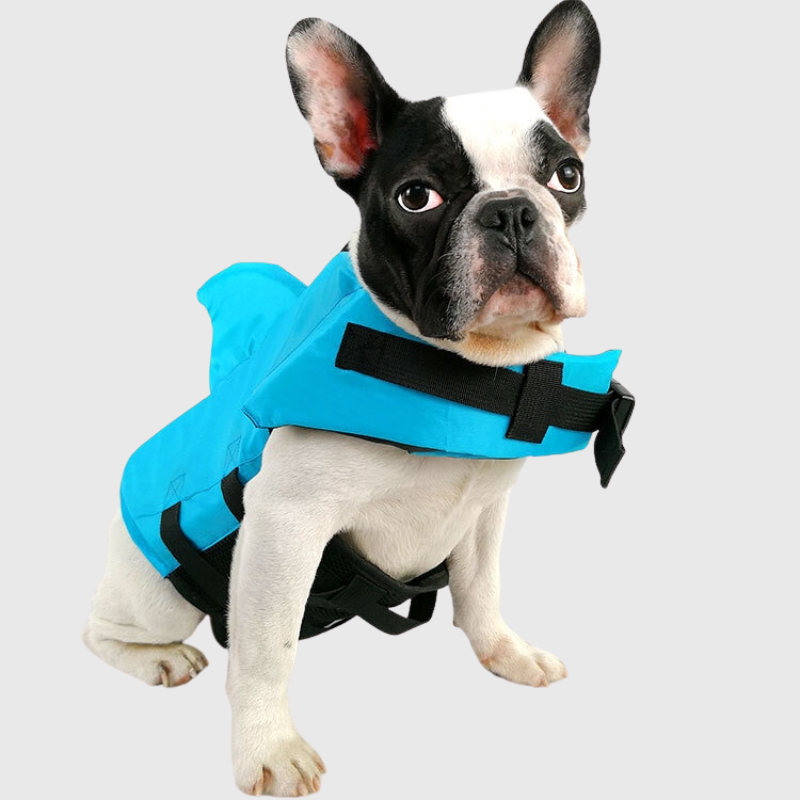 Gilet de sauvetage pour petit chien modele chien bleu