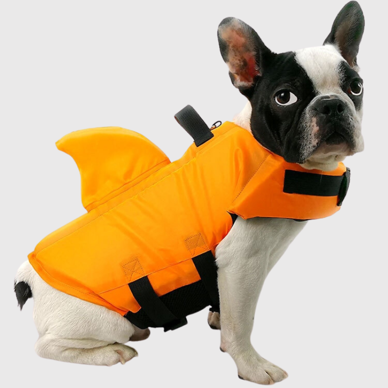 Gilet de sauvetage pour petit chien modele chien orange
