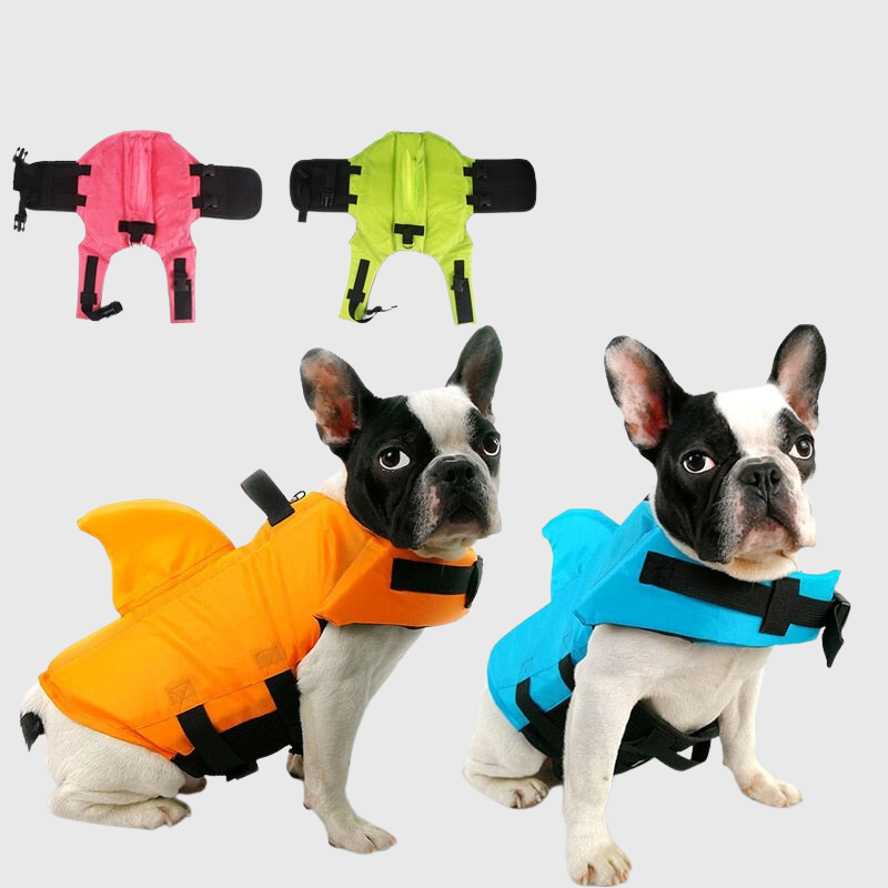 Gilet de sauvetage pour petit chien modele coloré