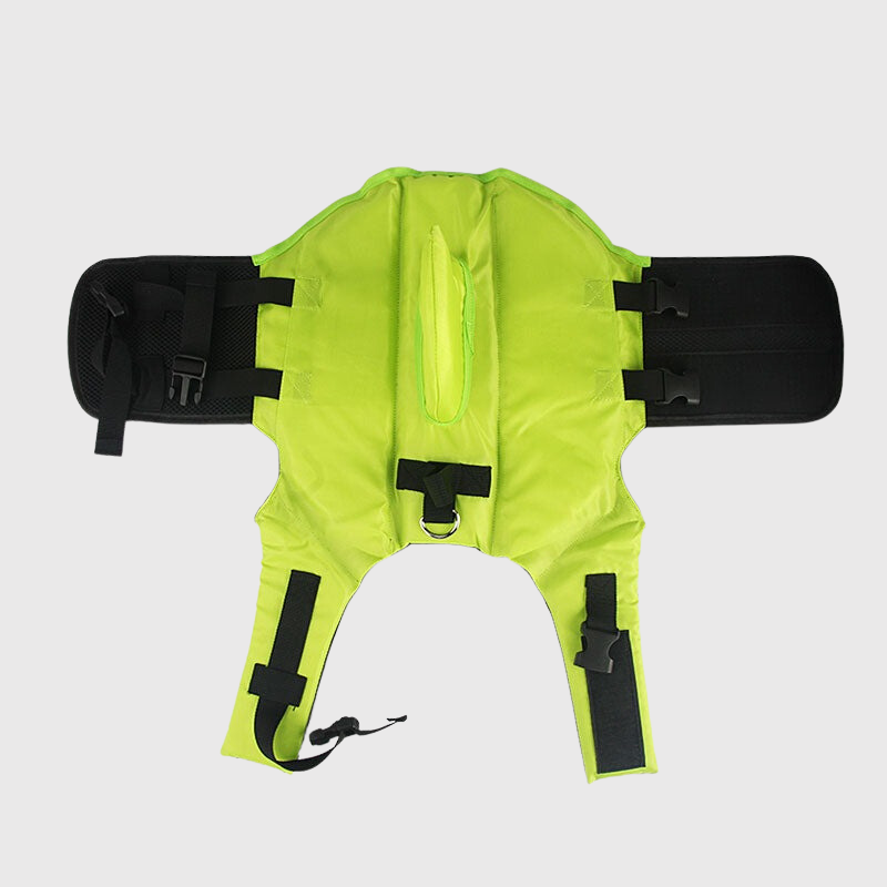 Gilet de sauvetage pour petit chien vert
