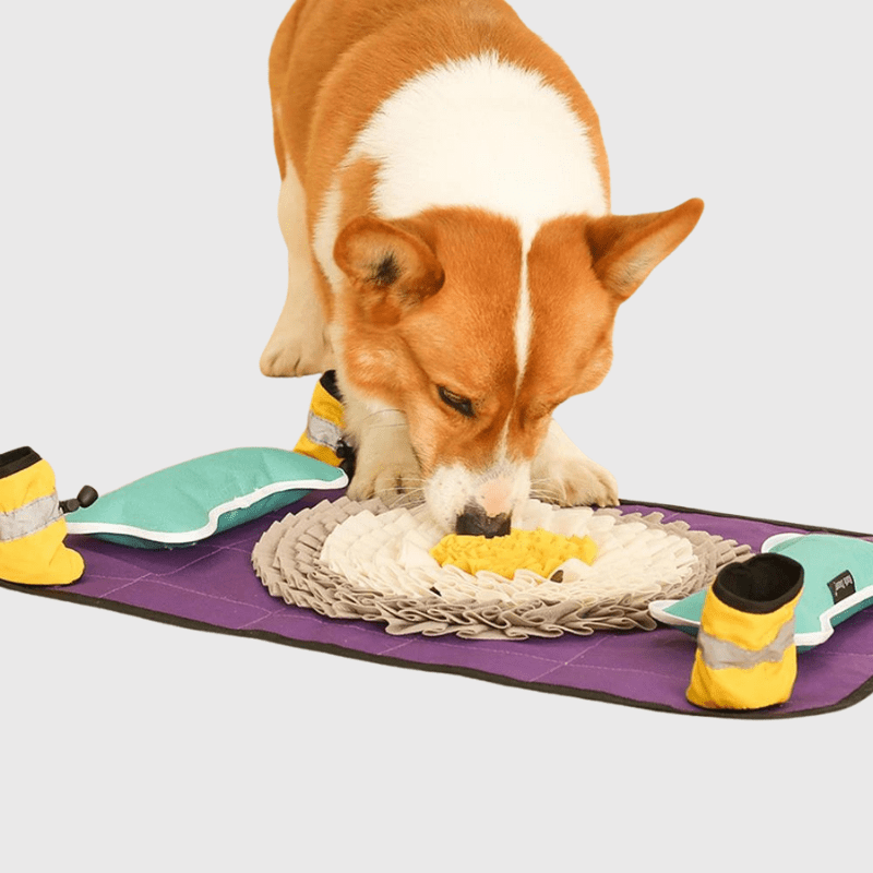 Grand tapis de fouille chien violet