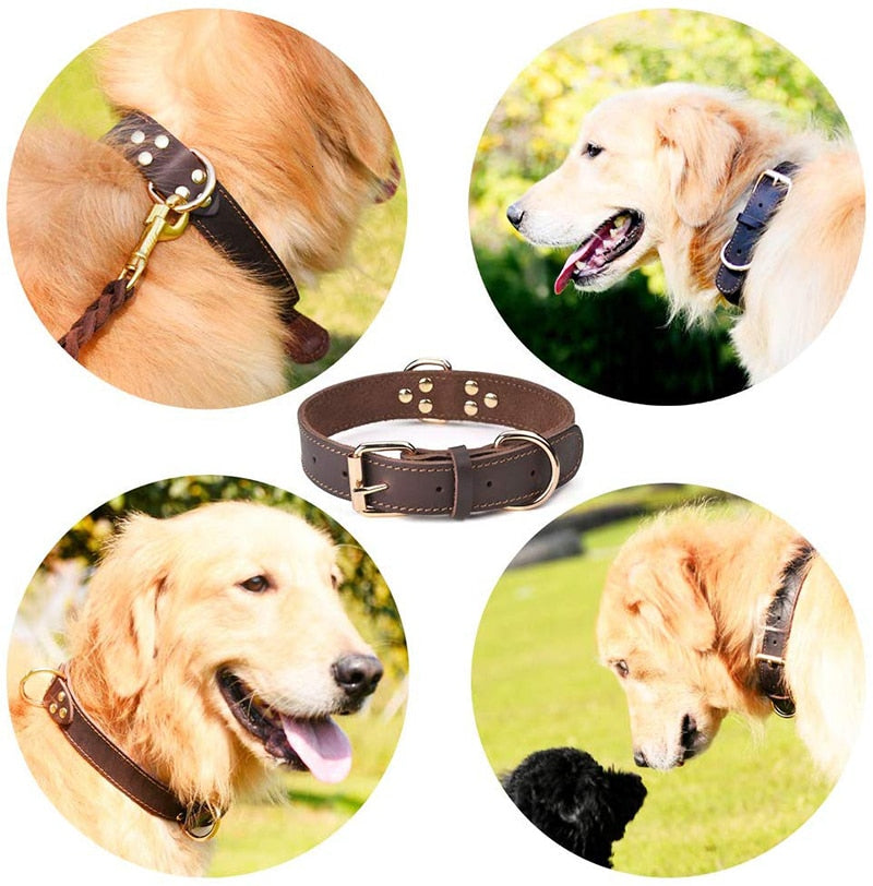 Collier chien en cuir modele chien