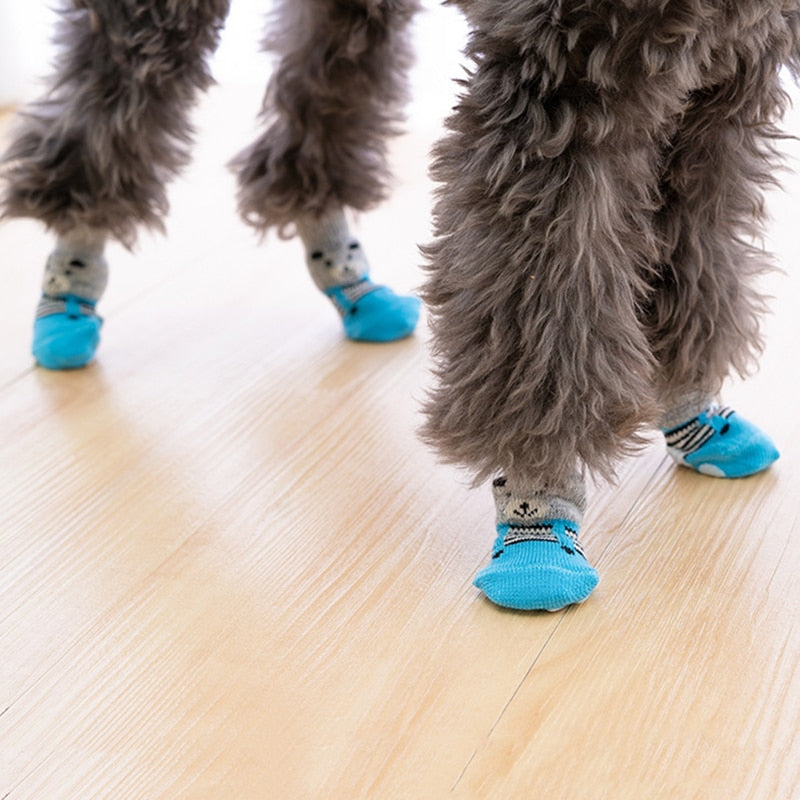 Chaussette antiderapante pour vieux demo sur chien
