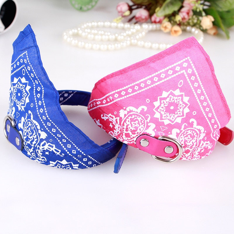 Collier pour chien bandana bleu et rose