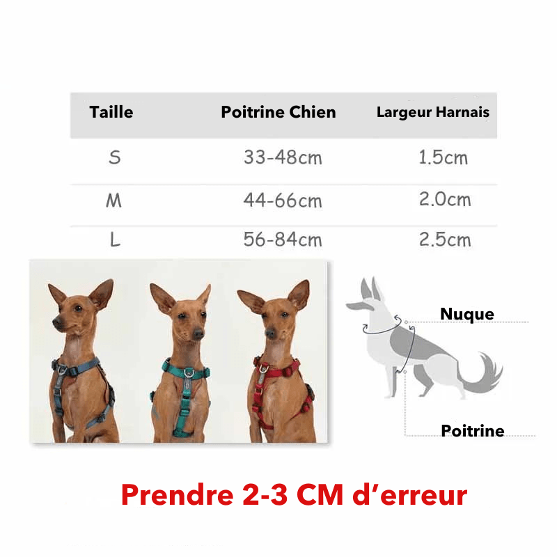 Harnais Résistant pour chien taille