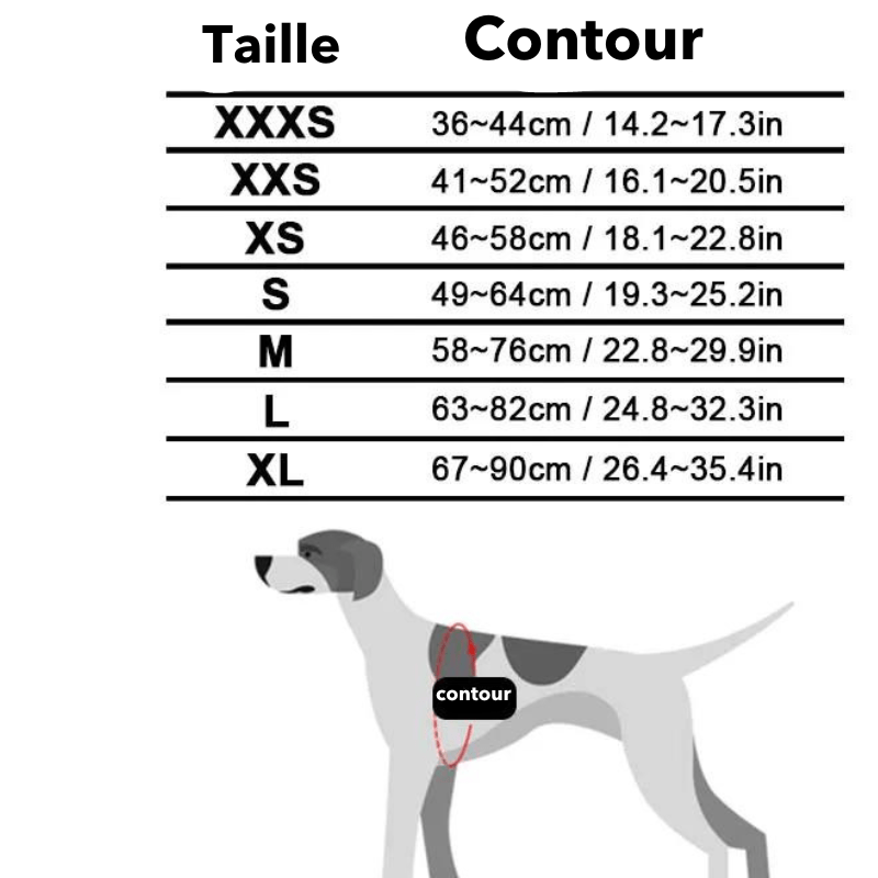 Harnais avec poignée pour chien taille