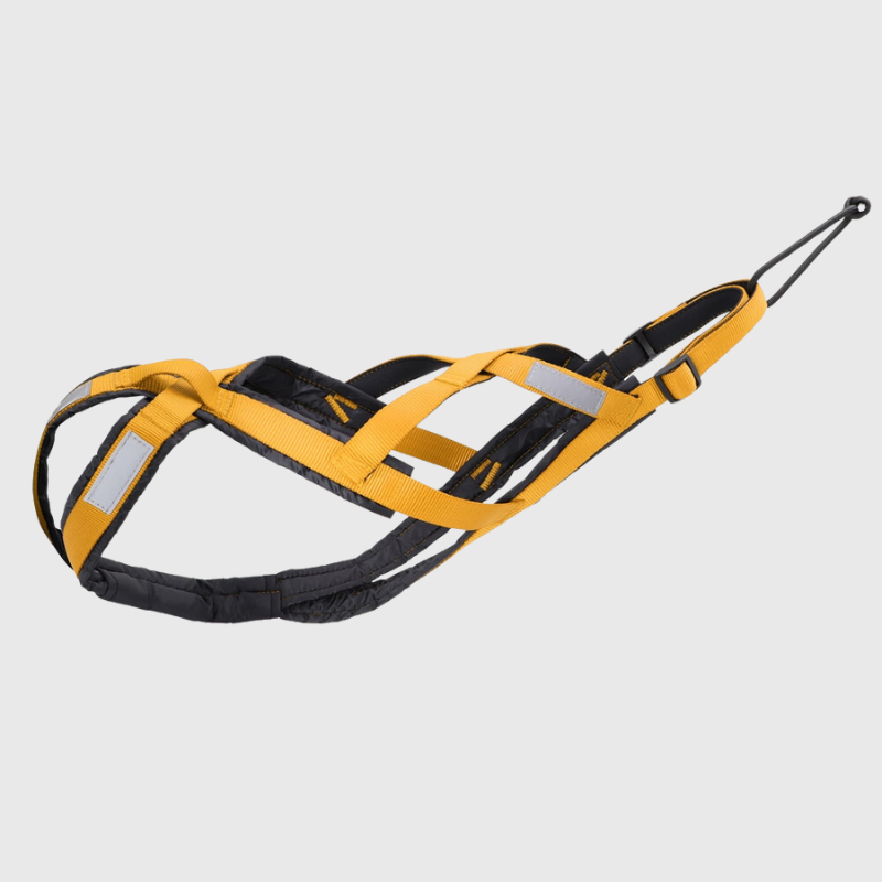 Harnais chien Canicross jaune