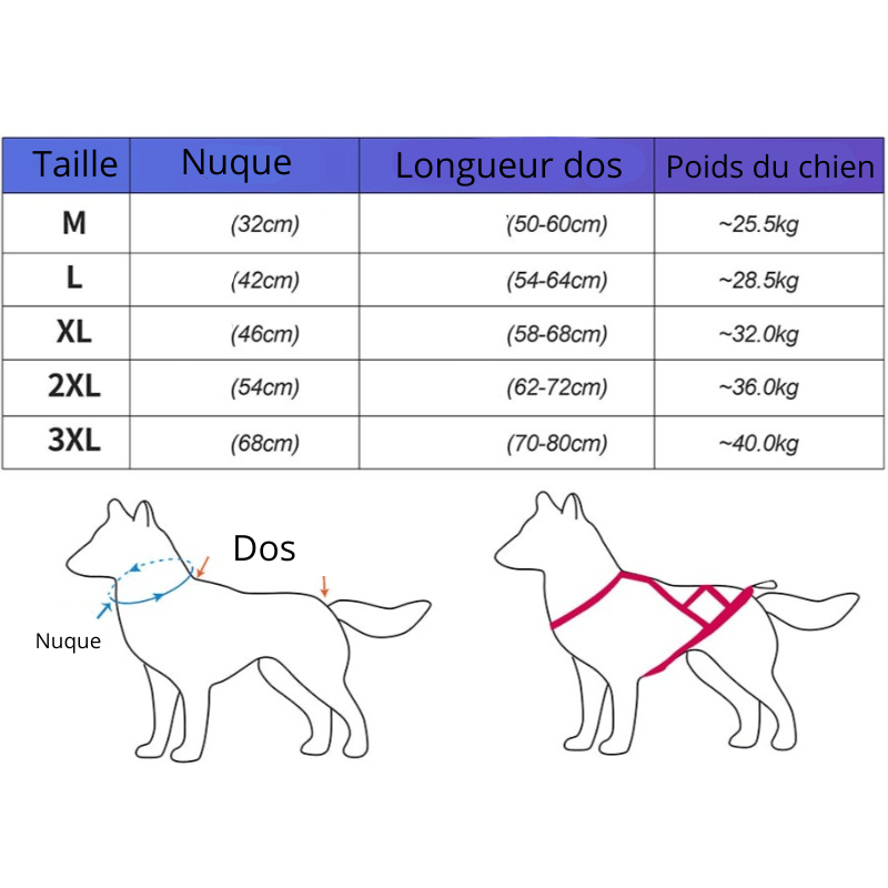 Harnais chien Canicross taille