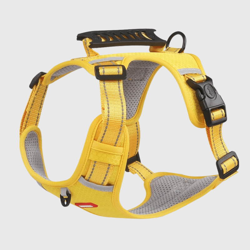 Harnais chien Y jaune