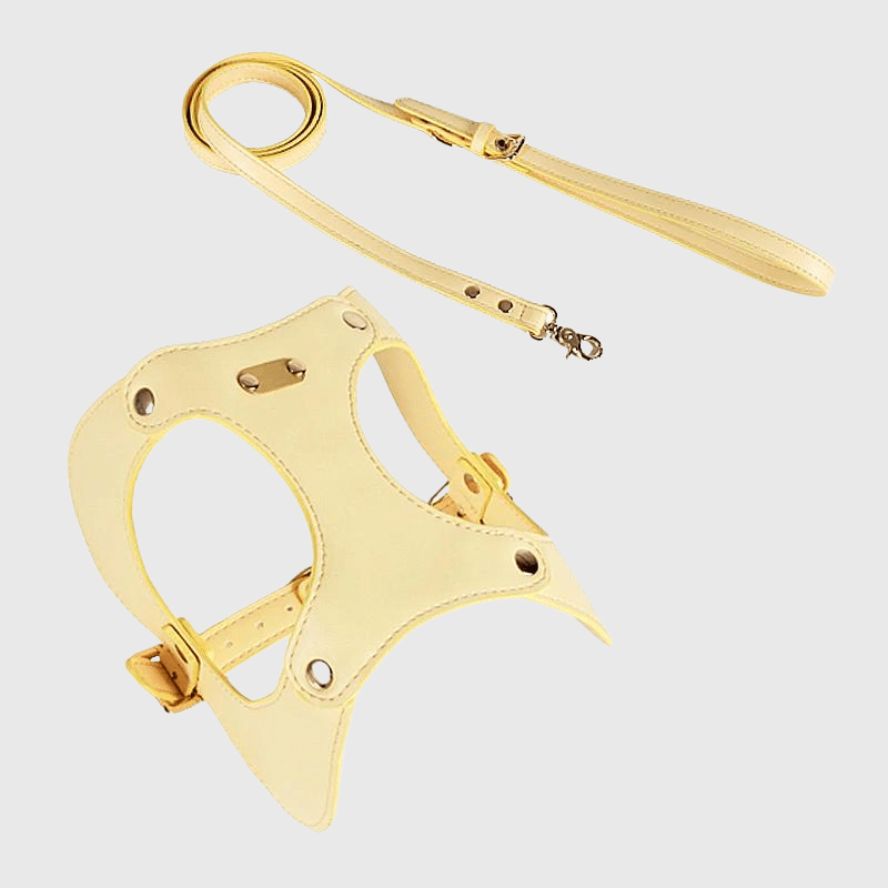 Harnais chien cuir jaune
