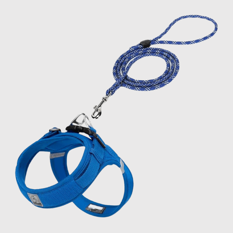 Harnais chien en t bleu fonce