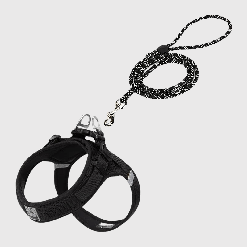 Harnais chien en t noir
