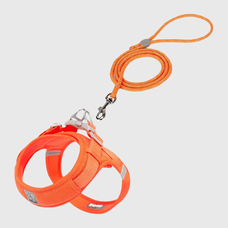 Harnais chien en t orange